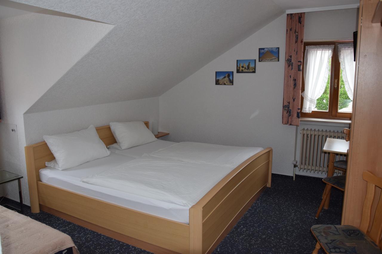 Hotel Sonne Sinsheim Exteriér fotografie